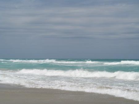 La PlAgE