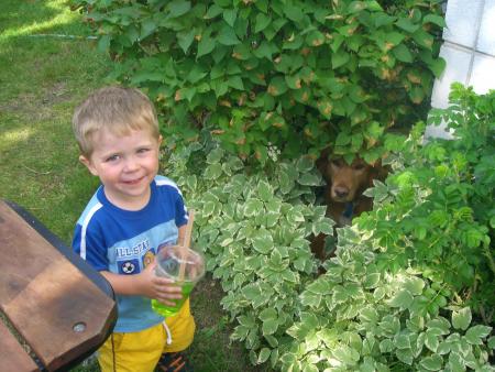 My BrOtHer AnD My DoG
