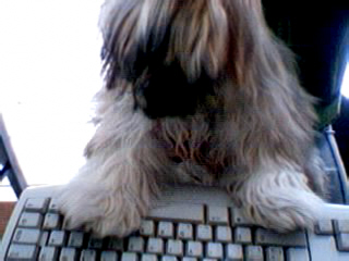 MOn PETtiT GiZ